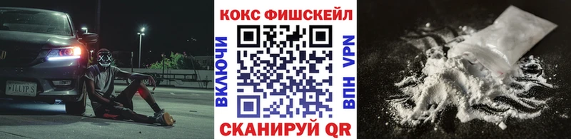 Кокаин Fish Scale  как найти закладки  Николаевск-на-Амуре 