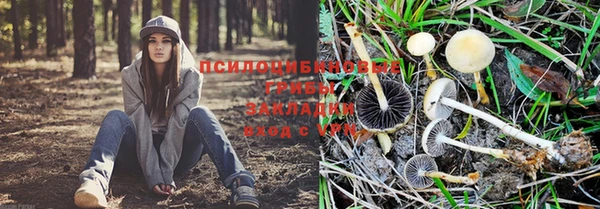 ПСИЛОЦИБИНОВЫЕ ГРИБЫ Армянск