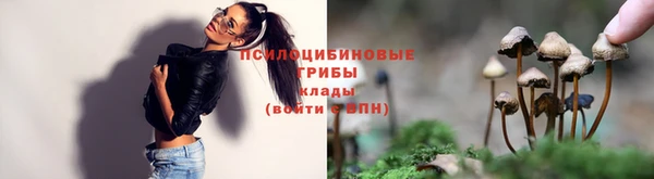 гашишное масло Аркадак