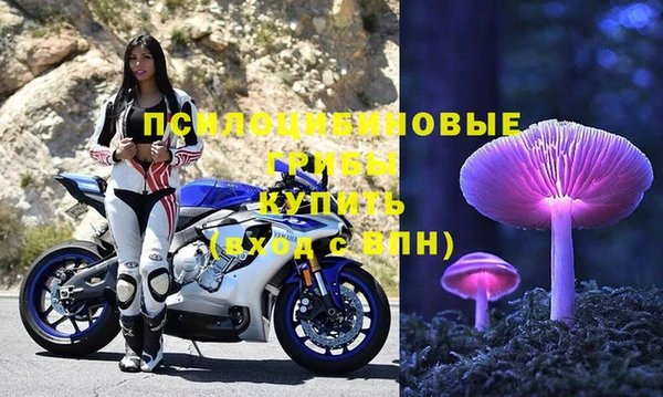 ПСИЛОЦИБИНОВЫЕ ГРИБЫ Армянск