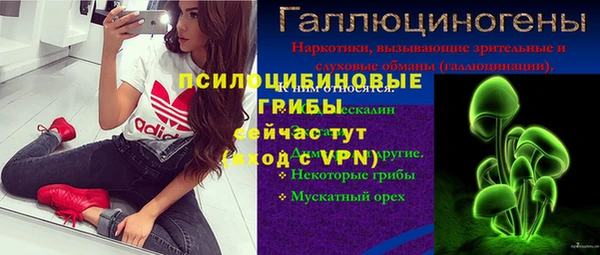 ПСИЛОЦИБИНОВЫЕ ГРИБЫ Армянск