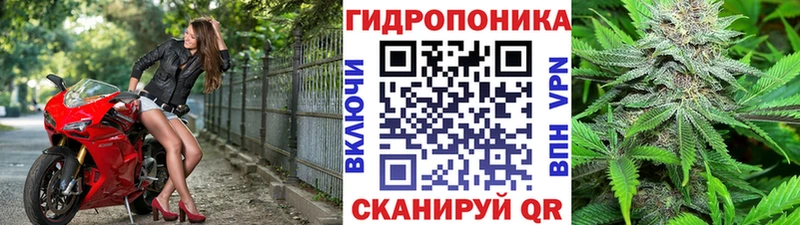 KRAKEN зеркало  Николаевск-на-Амуре  Марихуана Amnesia 